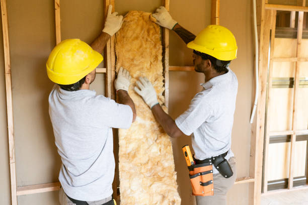 Best Insulation Replacement  in Murraysville, NC